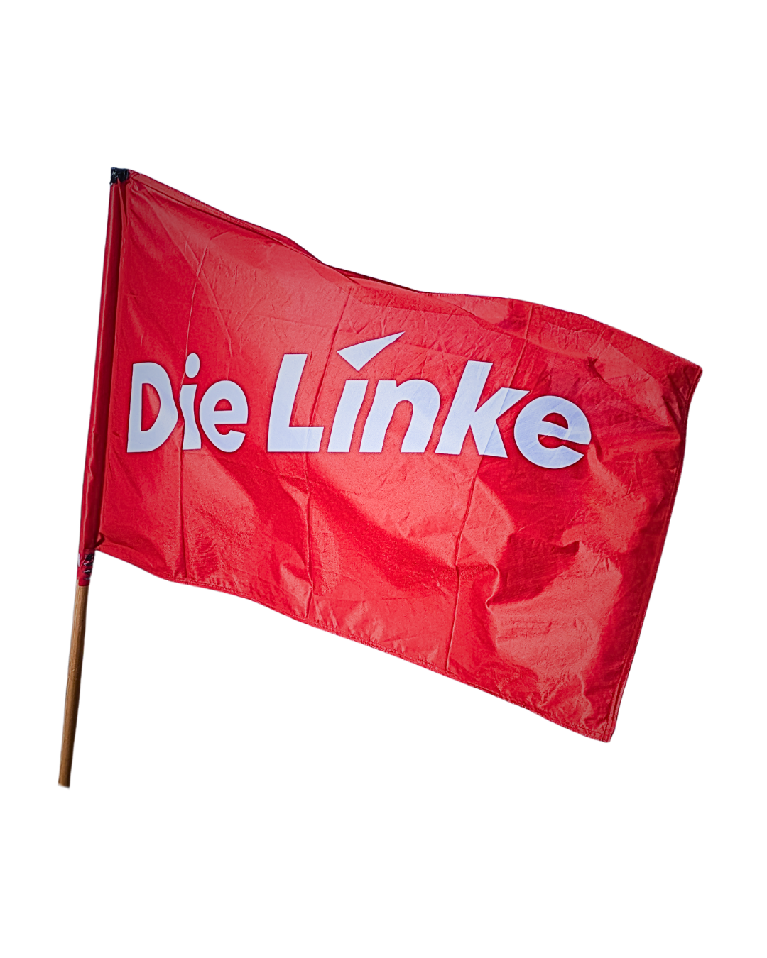 Die Linke beantragt Klimageld für Linkshänder